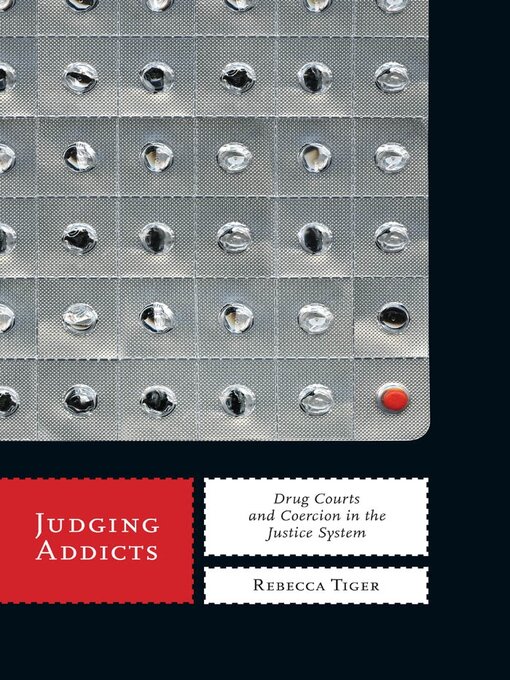 Title details for Judging Addicts by Rebecca Tiger - Available